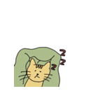 シムネコ（個別スタンプ：7）