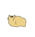 シムネコ（個別スタンプ：9）
