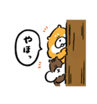 柴犬とリス（個別スタンプ：2）