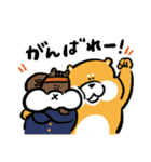 柴犬とリス（個別スタンプ：3）