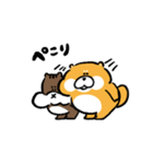 柴犬とリス（個別スタンプ：11）