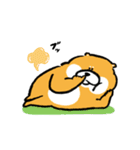 柴犬とリス（個別スタンプ：24）