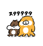 柴犬とリス（個別スタンプ：39）