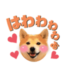 柴犬の源次郎3（個別スタンプ：9）