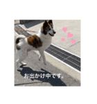 いぬのちょこさん。（個別スタンプ：2）