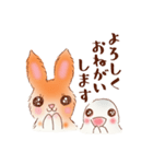 goo ＆ maruru2（個別スタンプ：2）