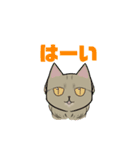 ニャビースタンプ（個別スタンプ：8）