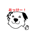 ボーダーコリー喜白右衛門1（個別スタンプ：1）