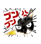保護猫ライトくんの日常スタンプ。（個別スタンプ：27）