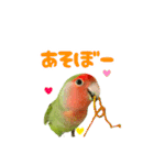 コザクラインコぴーすけ〜納豆風味〜（個別スタンプ：16）