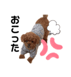 クッティーちゃん（個別スタンプ：6）