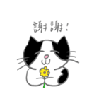 乳牛猫Yoyo（個別スタンプ：14）