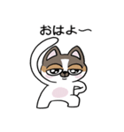 ちょっとうるさいチワワ レオくん（個別スタンプ：1）