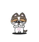 ちょっとうるさいチワワ レオくん（個別スタンプ：2）
