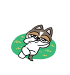 ちょっとうるさいチワワ レオくん（個別スタンプ：5）