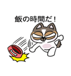 ちょっとうるさいチワワ レオくん（個別スタンプ：8）