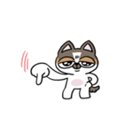 ちょっとうるさいチワワ レオくん（個別スタンプ：14）