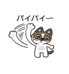 ちょっとうるさいチワワ レオくん（個別スタンプ：17）