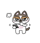 ちょっとうるさいチワワ レオくん（個別スタンプ：34）