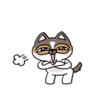 ちょっとうるさいチワワ レオくん（個別スタンプ：38）
