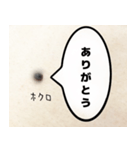 ほくろのきもち（個別スタンプ：4）