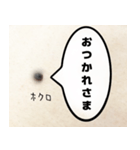 ほくろのきもち（個別スタンプ：5）