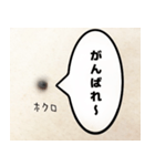 ほくろのきもち（個別スタンプ：6）