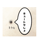 ほくろのきもち（個別スタンプ：15）