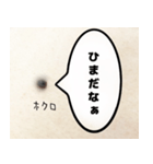 ほくろのきもち（個別スタンプ：33）