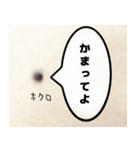 ほくろのきもち（個別スタンプ：34）