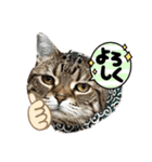 おはぎのなんとも言えないスタンプ（個別スタンプ：15）