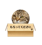 おはぎのなんとも言えないスタンプ（個別スタンプ：16）