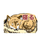 動物スタンプ？？（個別スタンプ：7）