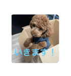 日常生活チョコちゃん（個別スタンプ：8）
