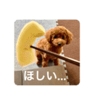 日常生活チョコちゃん（個別スタンプ：21）