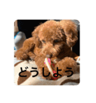 日常生活チョコちゃん（個別スタンプ：24）