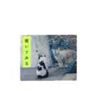 なんだかなニャンズ①（個別スタンプ：13）