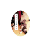なんだかなニャンズ①（個別スタンプ：24）