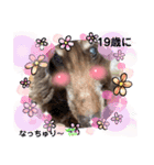 長生きダックス（個別スタンプ：2）