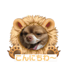 わちる＆あぐり－日常会話＊オールシーズン（個別スタンプ：2）