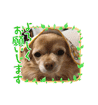 わちる＆あぐり－日常会話＊オールシーズン（個別スタンプ：9）