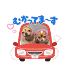 わちる＆あぐり－日常会話＊オールシーズン（個別スタンプ：11）
