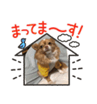 わちる＆あぐり－日常会話＊オールシーズン（個別スタンプ：12）