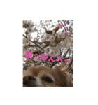 わちる＆あぐり－日常会話＊オールシーズン（個別スタンプ：16）