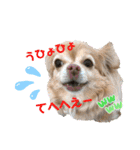 わちる＆あぐり－日常会話＊オールシーズン（個別スタンプ：19）