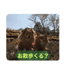 わちる＆あぐり－日常会話＊オールシーズン（個別スタンプ：26）