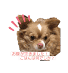 わちる＆あぐり－日常会話＊オールシーズン（個別スタンプ：30）