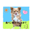 わちる＆あぐり－日常会話＊オールシーズン（個別スタンプ：32）
