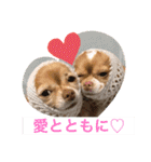 わちる＆あぐり－日常会話＊オールシーズン（個別スタンプ：35）
