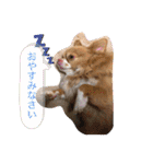 わちる＆あぐり－日常会話＊オールシーズン（個別スタンプ：37）